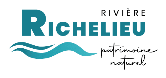 Identité visuelle rivière Richelieu
